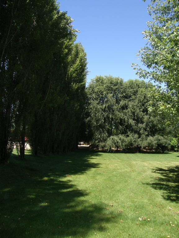 Agriturismo Greppi Crescentino Экстерьер фото